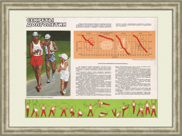 Секреты долголетия. Физкультура и спорт в СССР, винтажный плакат