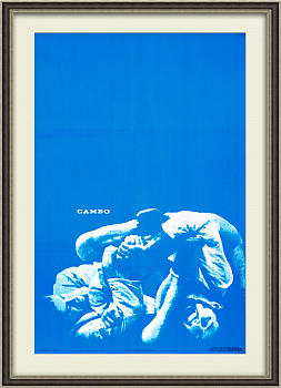 Самбо, большой советский плакат в раме