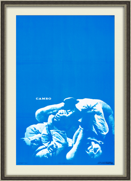 Самбо, большой советский плакат в раме