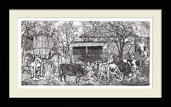 Станичники Краснодарского края. Авторская редкая гравюра