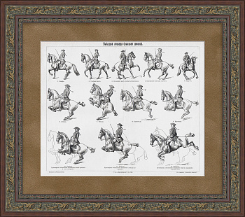 Верховая езда, обучение лошадей. Старинная гравюра