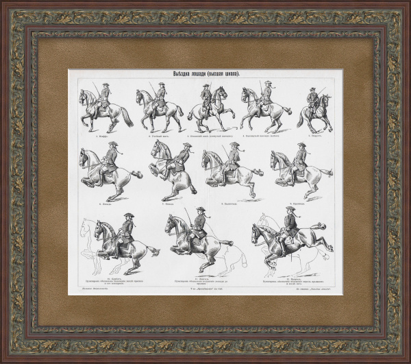 Верховая езда, обучение лошадей. Старинная гравюра