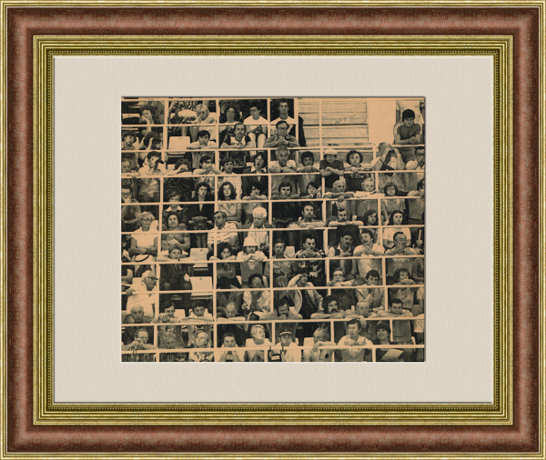 Олимпиада-80, зрители на состязании по плаванию. Архивное фото