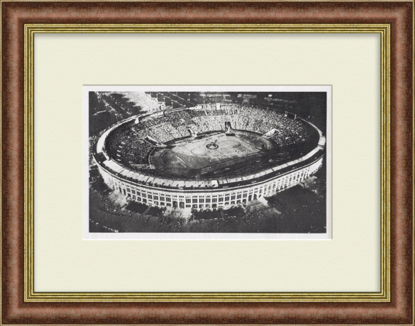 Стадион "Лужники"