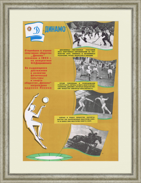 Динамо, Добровольное спортивное общество. Советский плакат