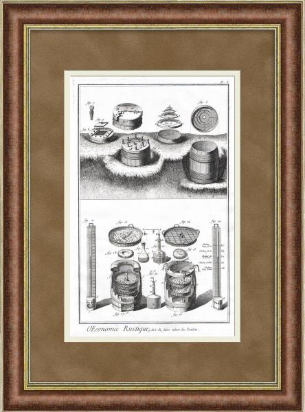 Инкубатор 18 века - искусство высиживания цыплят