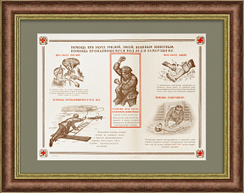 Оказание первой помощи при ядовитых укусах и обморожении. Общество Красного Креста РСФСР, редкая графика