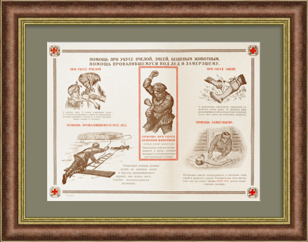 Оказание первой помощи при ядовитых укусах и обморожении. Общество Красного Креста РСФСР, редкая графика