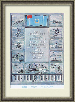 Общество спасания на водах: предупреждение несчастных случаев