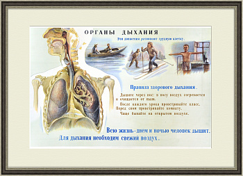 Спортсмен, дыши правильно! Большой плакат СССР